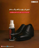 Nanosan shoe freshener and disinfectant