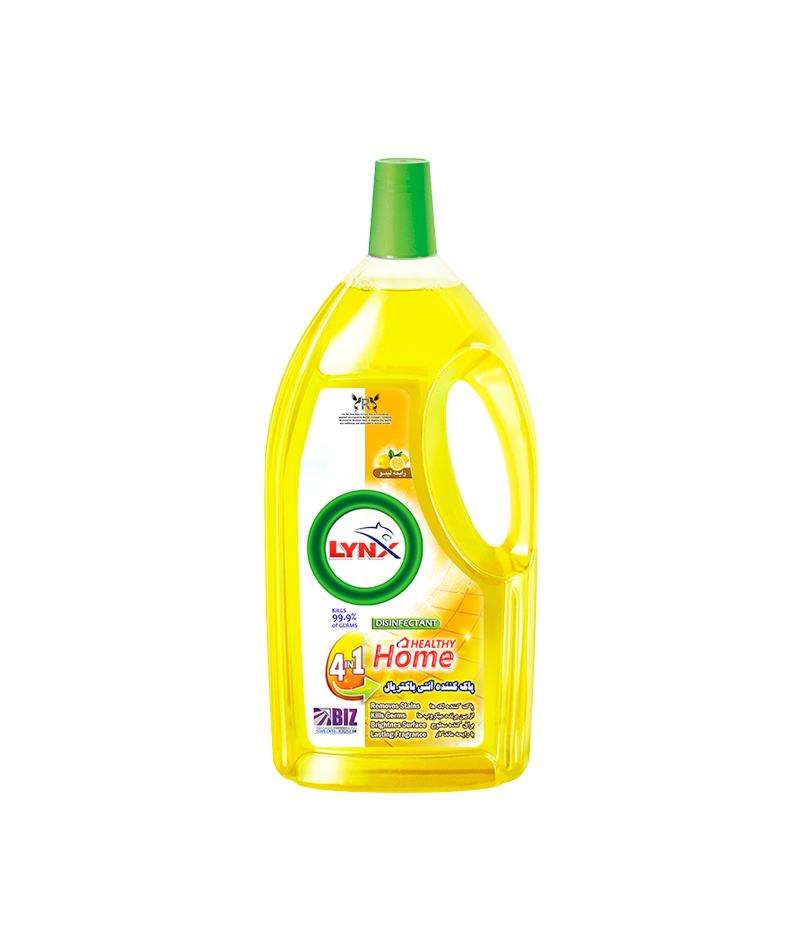 Surface cleaner LYNX